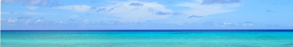 Bonaire Beads